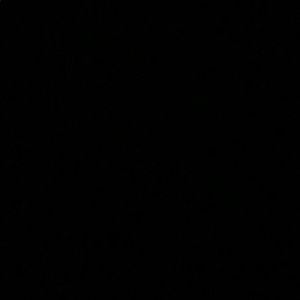 Meet your Posher, Jayden